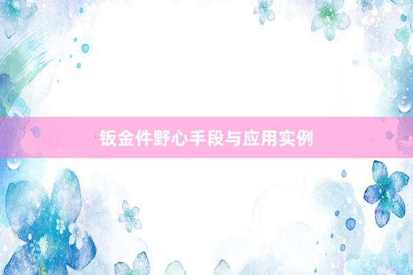 钣金件野心手段与应用实例