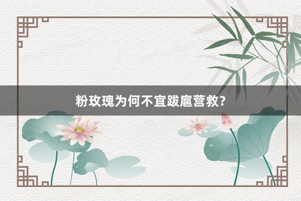 粉玫瑰为何不宜跋扈营救？