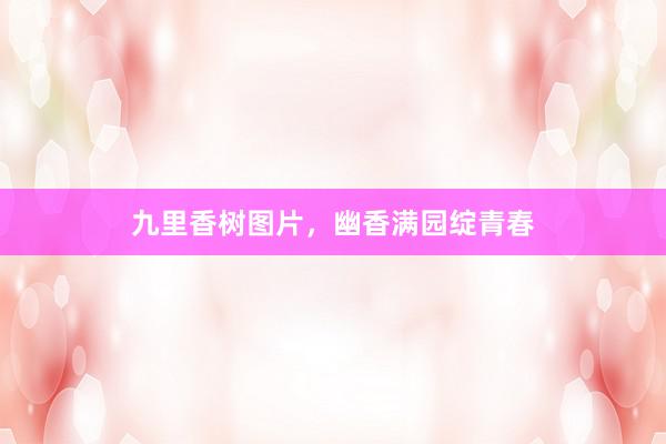 九里香树图片，幽香满园绽青春
