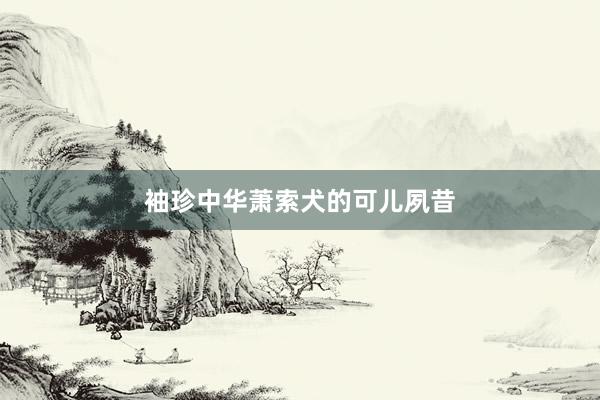 袖珍中华萧索犬的可儿夙昔
