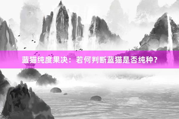 蓝猫纯度果决:若何判断蓝猫是否纯种?